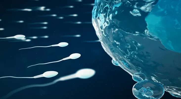 How Long does it take to get Sperm Analysis Results
